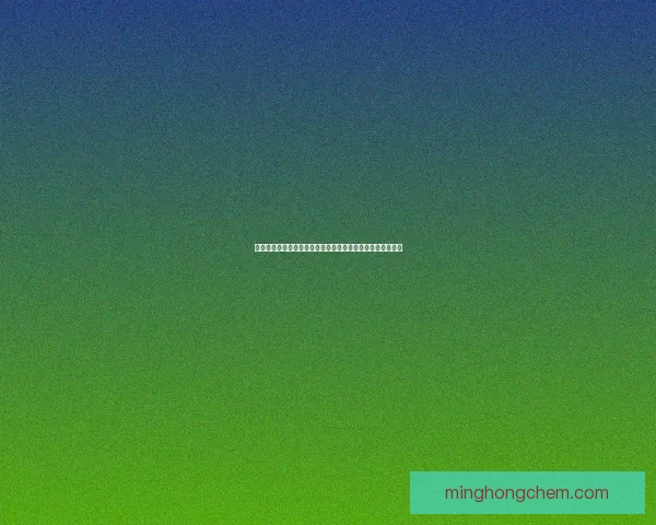 仙途峨眉职业加点攻略及最佳修炼路线解析助你成为巅峰高手